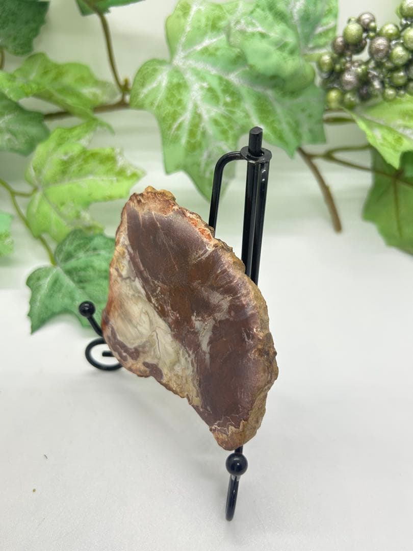 珪化木プレート　ペトリファイドウッド　No.871