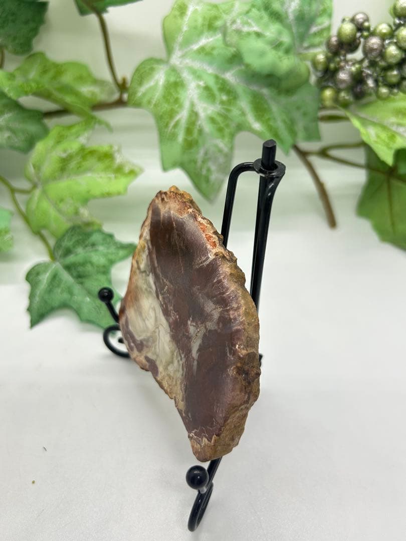 珪化木プレート　ペトリファイドウッド　No.871