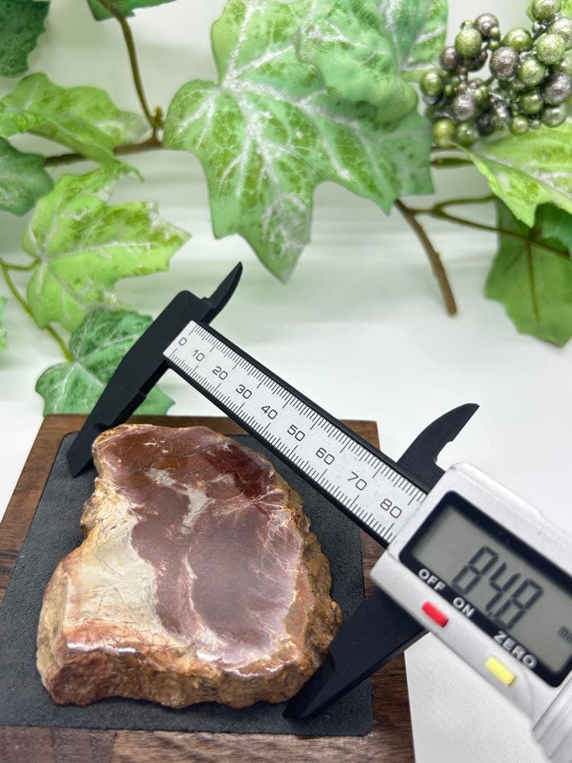 珪化木プレート　ペトリファイドウッド　No.871