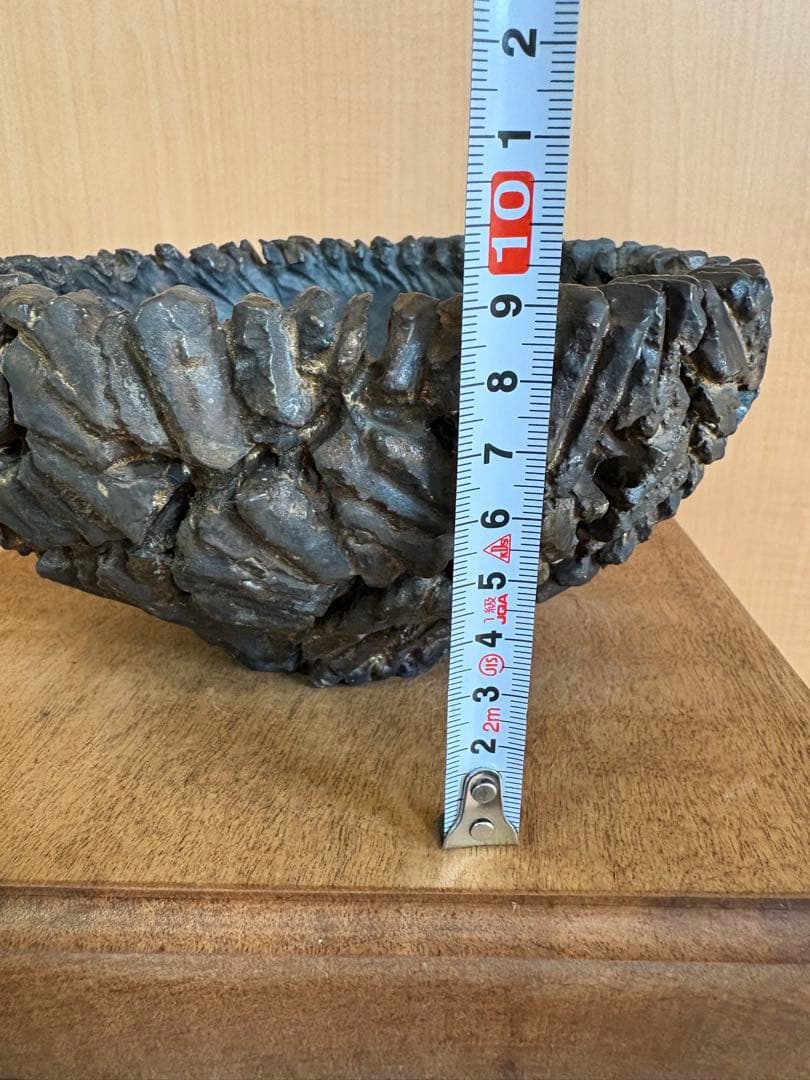 本日限定価格　tacson 鉢　raw life factory