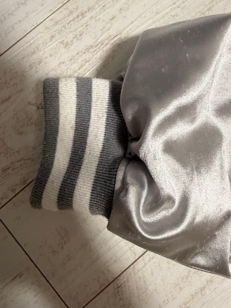 DimMoire Messy Bones ベロアスカジャン シルバー