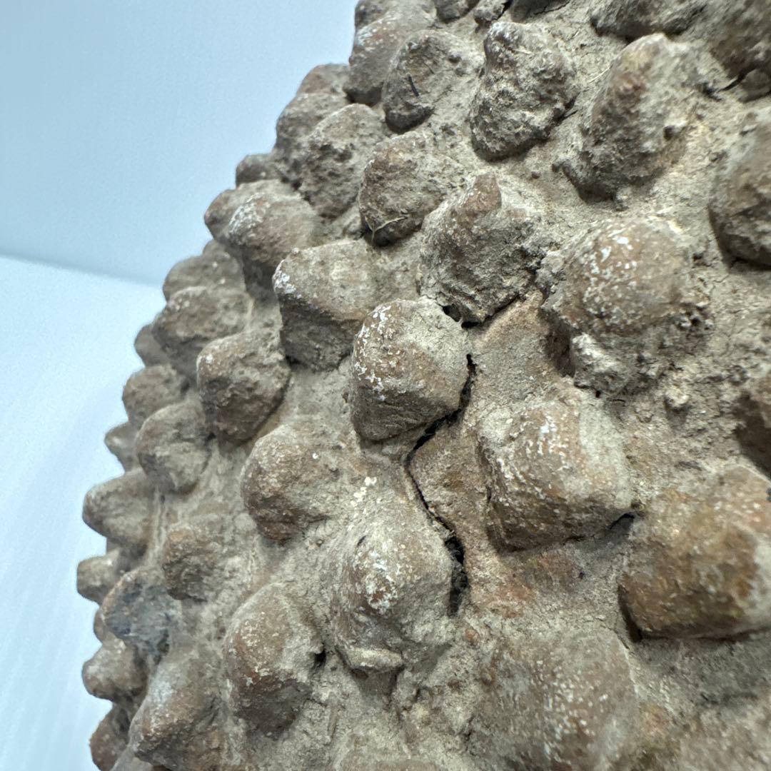 【希少】 アフリカ民芸風 ドリアン 土器 一輪挿し プリミティブアート オブジェ