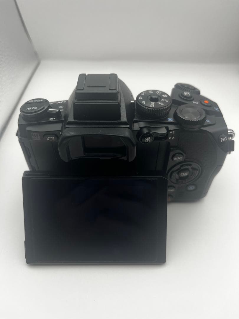 OLYMPUS OM-D EM-1 ボディ シャッター回数4241回