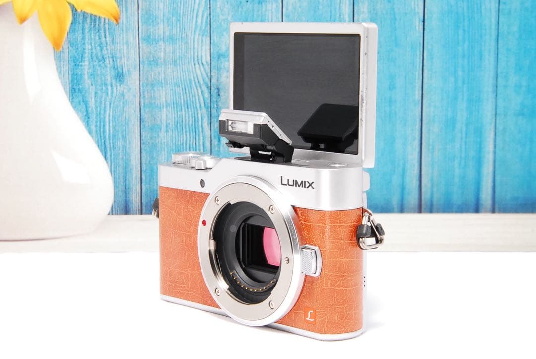 【ショット数611回】LUMIX GF9 SNS Wi-Fi チルト ミラーレス