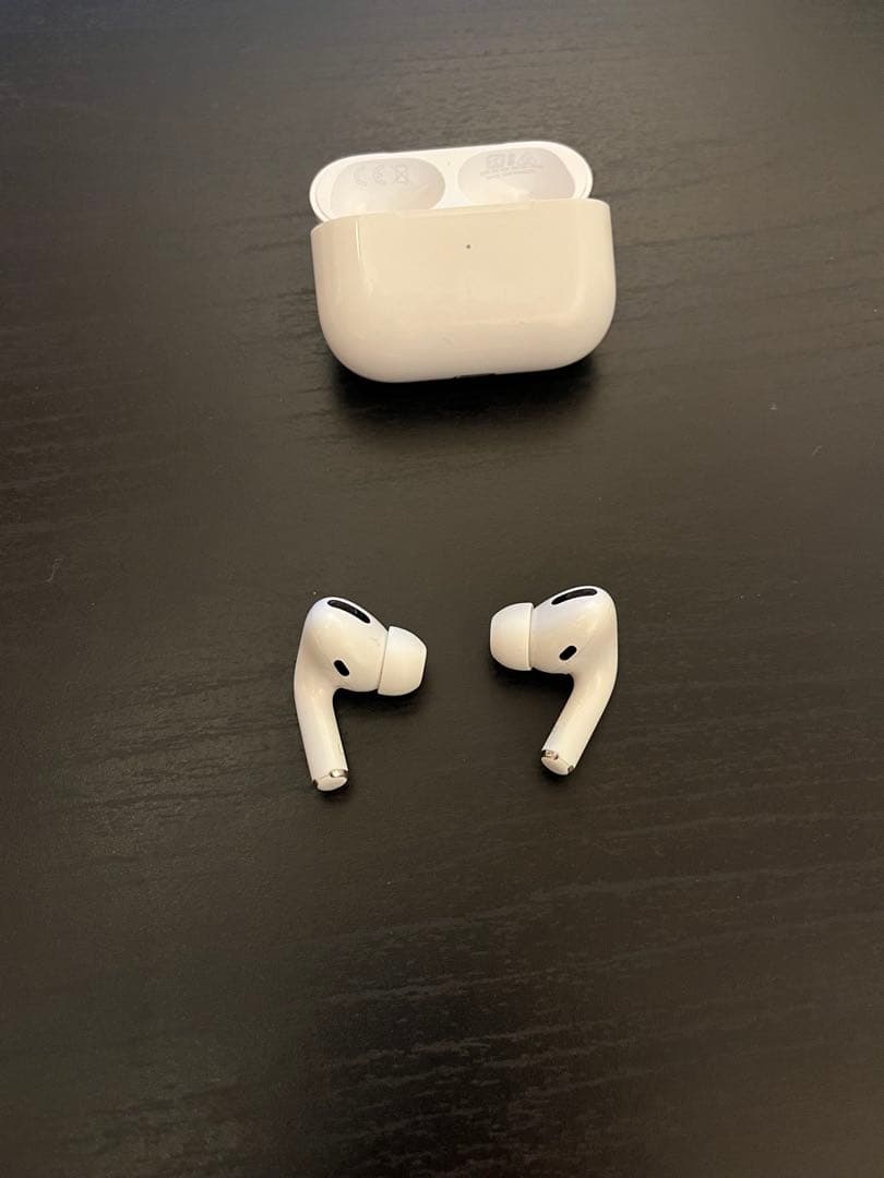 【AirPods Pro 第一世代】Lに時々ノイズ有