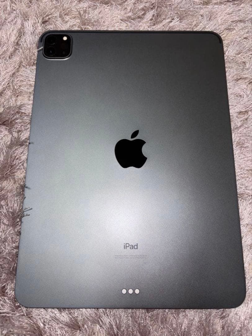 iPad Pro 11インチ（第2世代 )Apple Pencil（第2世代）