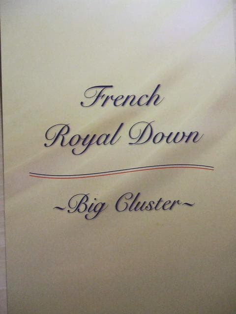 限定枚数＊新品＊五ッ星ロイヤル＊＊フランス９３％＊１，３キロ（増量）羽毛布団ＳＢ