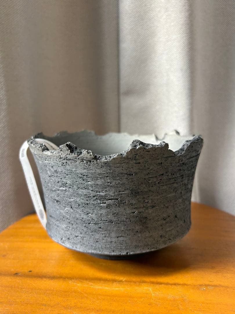 鶴仙園 三州みやび鉢 パキプスグラキリスInvisible ink SRL植木鉢