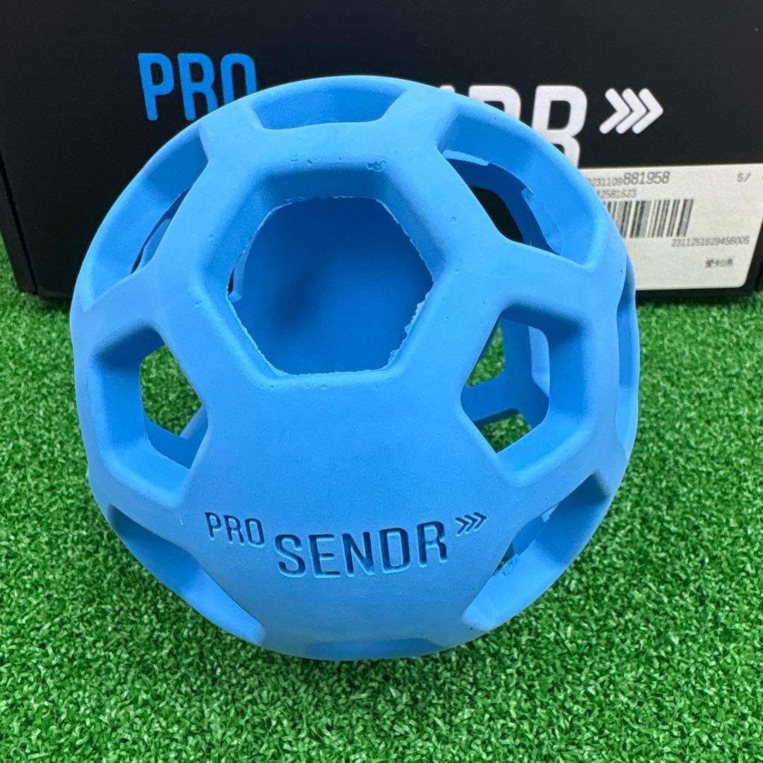 PRO SENDR ハンドプロテクターとボールセット