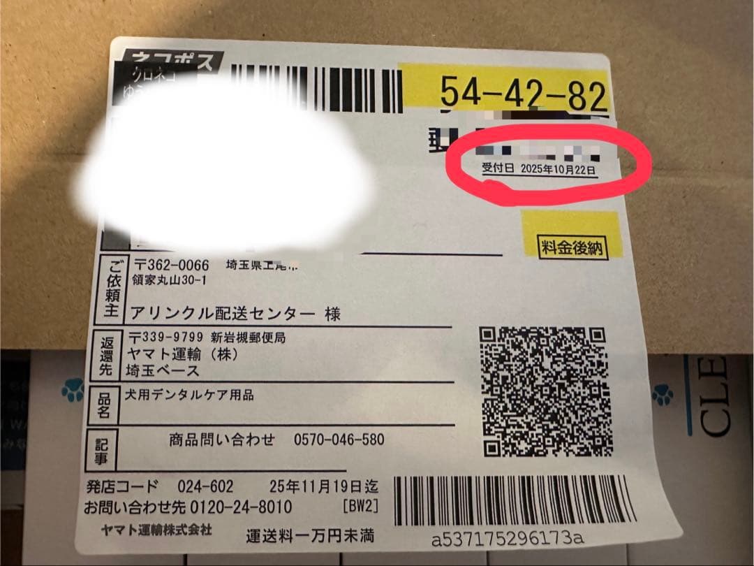 CLEAN WAN クリーンワンジェル 犬用 歯磨きジェル　6本セット