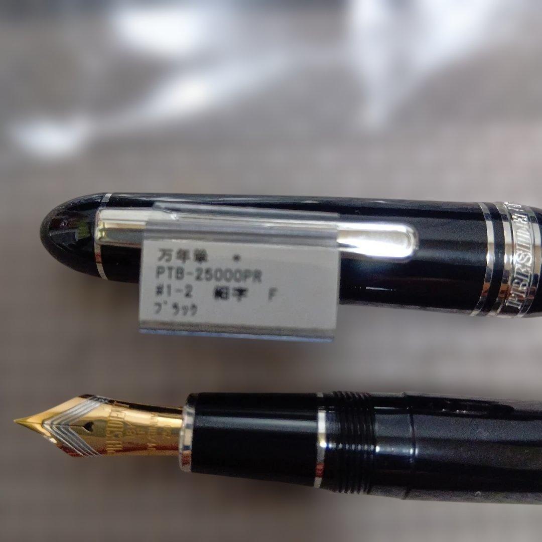 PLATINUM PRESIDENT 万年筆 黒