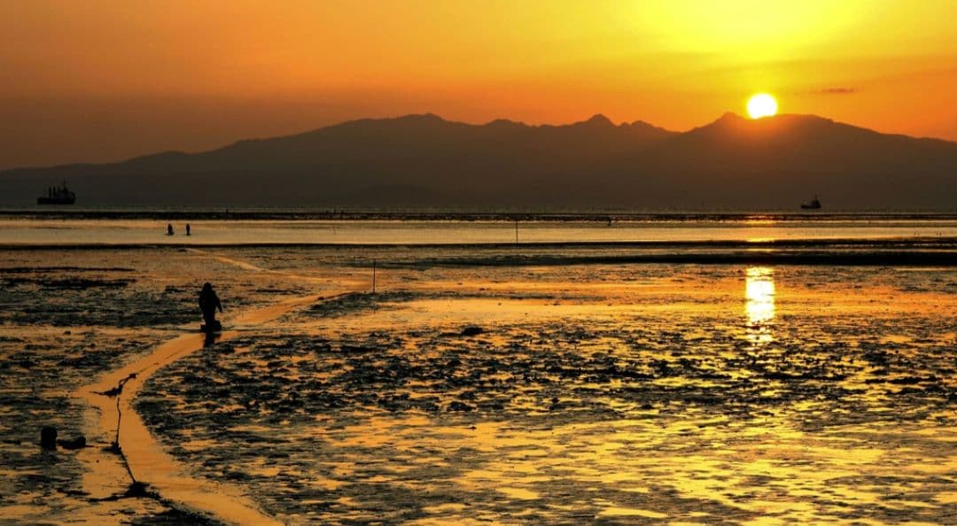 CANON　EOS　KissX 初心者　おまけ超望遠レンズ　一眼レフ　キャノン