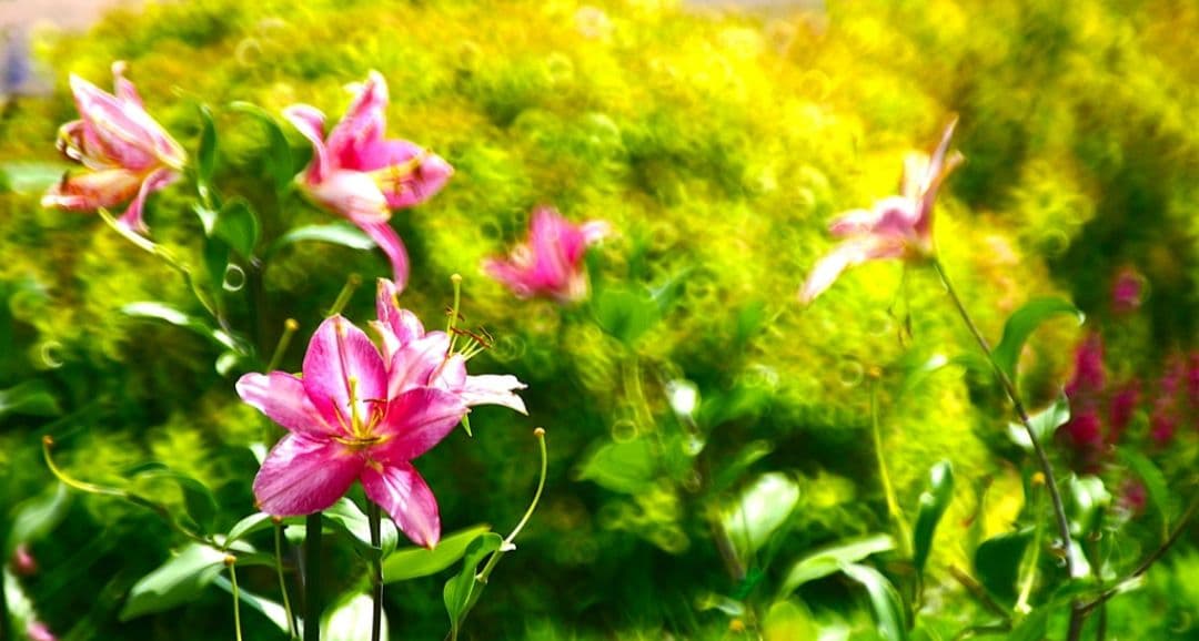 CANON　EOS　KissX 初心者　おまけ超望遠レンズ　一眼レフ　キャノン