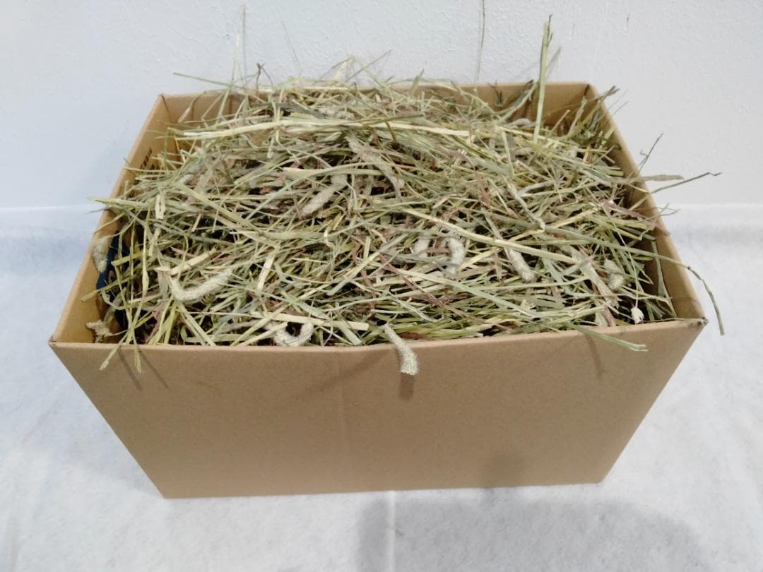 【家計応援価格】US産 チモシー 50kg ２番刈 ソフトSプレミアム