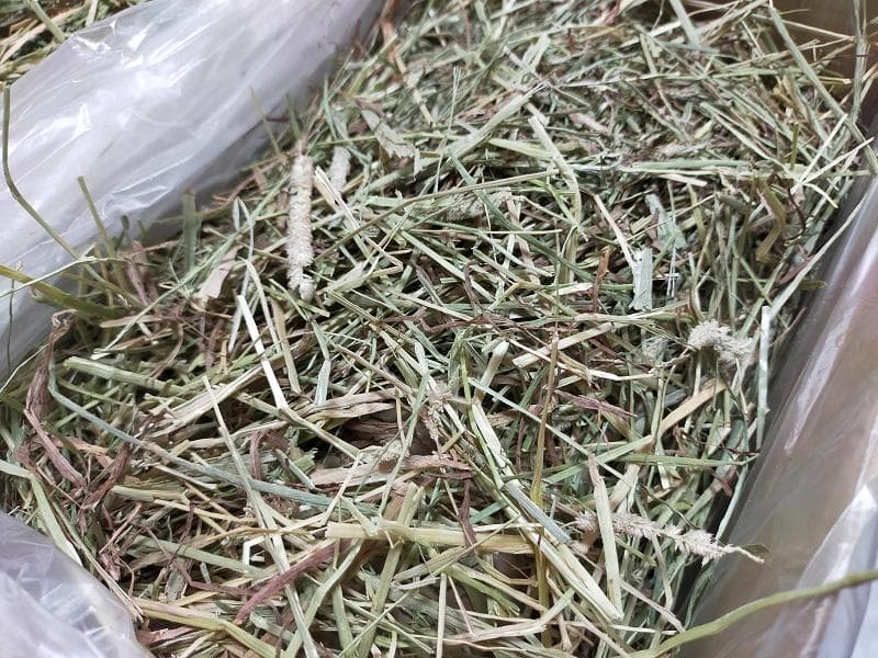 【家計応援価格】US産 チモシー 50kg ２番刈 ソフトSプレミアム