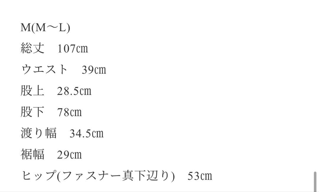 ok.soon ×dickies wide chino pants ベージュ