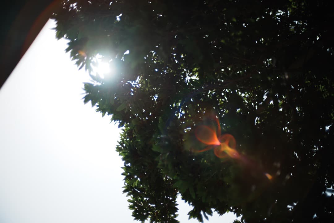 【極美品】動作◎ ニコン　Ai Nikkor 50mm F1.4 723