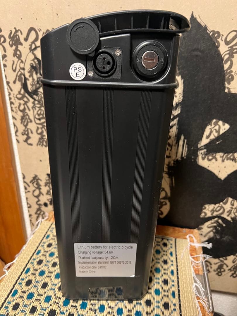 超大容量 リチウムバッテリー 48V 20Ah フル電動自転車　モペット