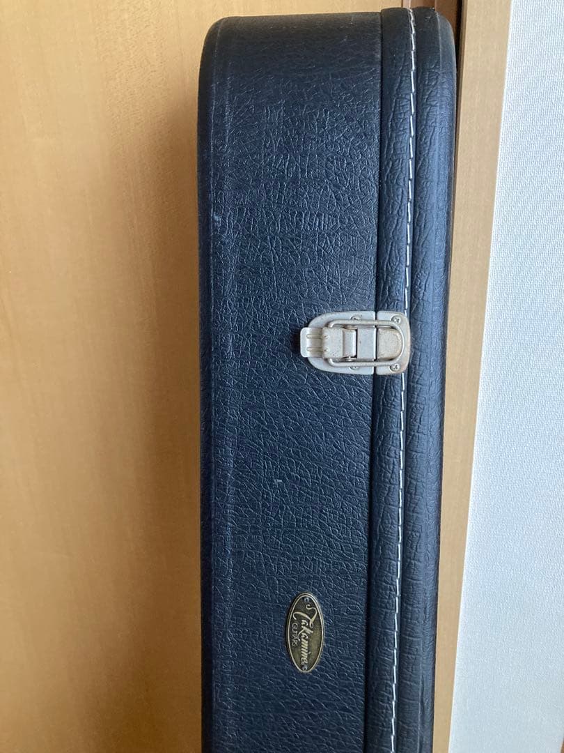 エレアコ　Takamine PT106