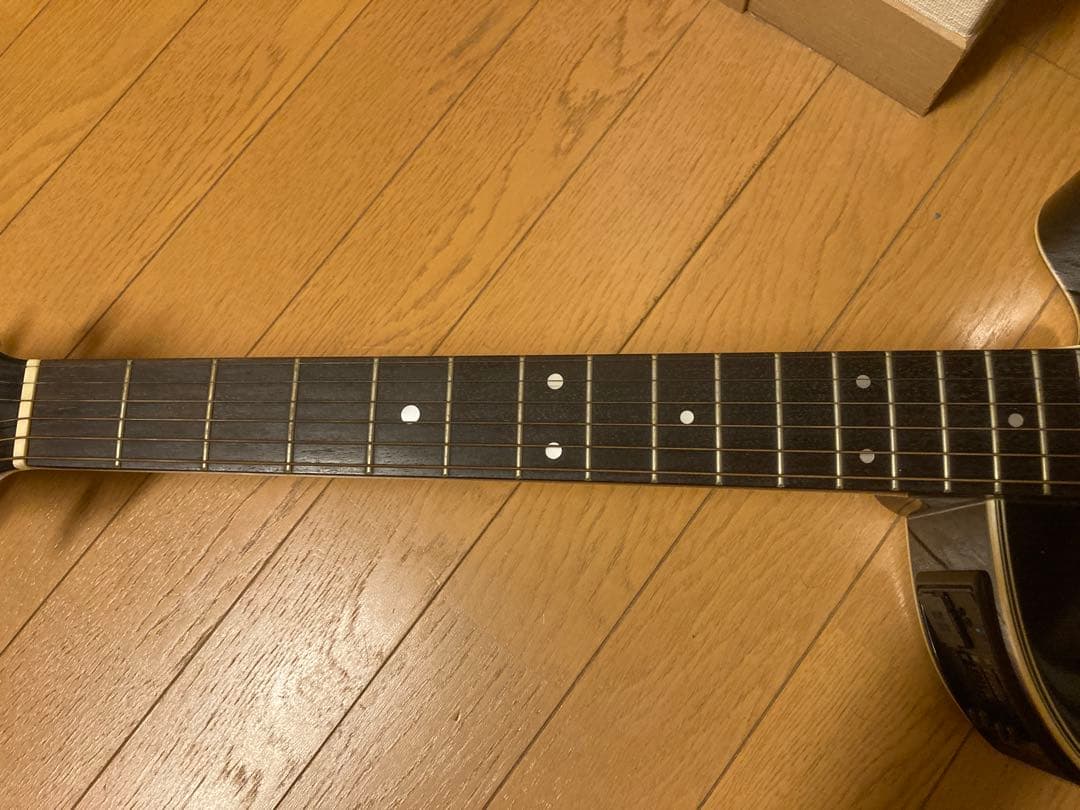 エレアコ　Takamine PT106