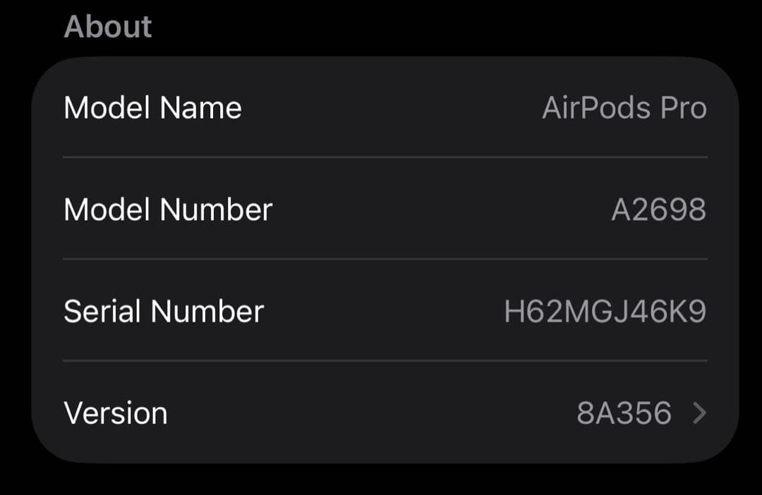 AirPods Pro2 ケース／ケーブル／イヤーピース付き　A2698