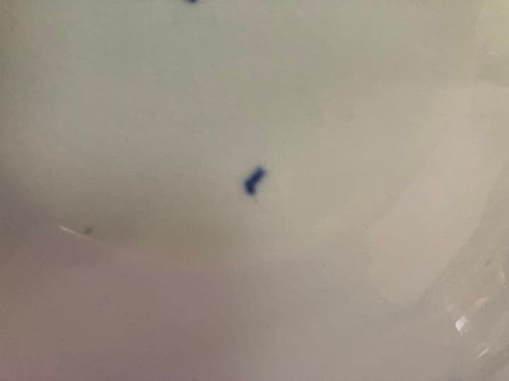 SUTHER LAND/イギリス サザーランド　ソーシェール　　ソースポット