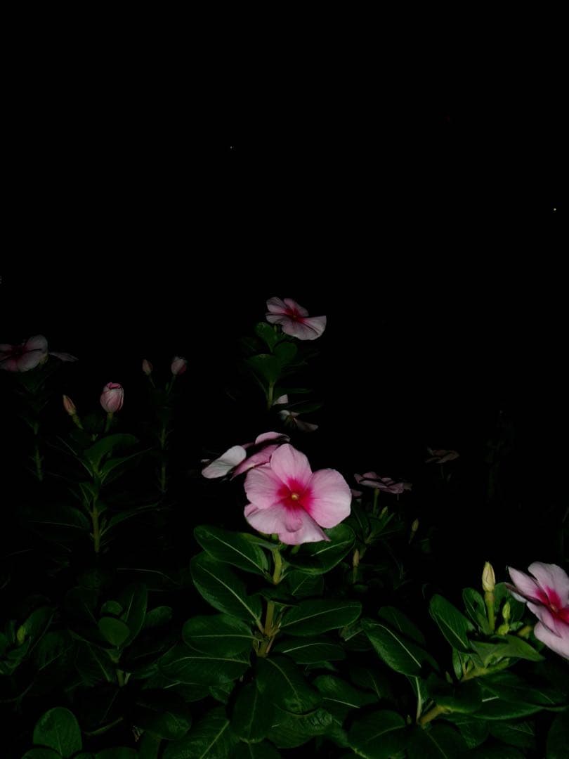 Kodak コンパクトデジタルカメラ　fz55