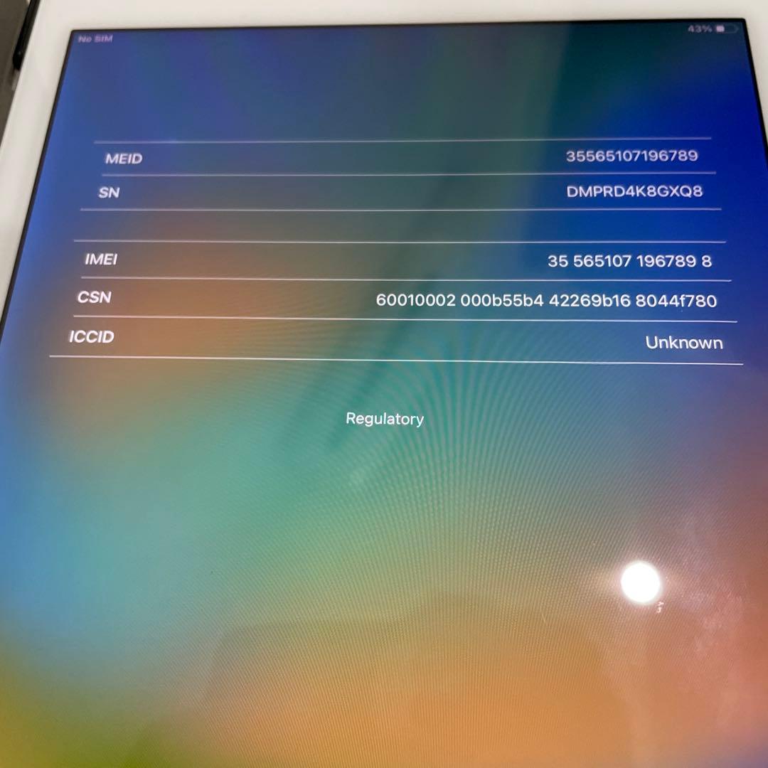iPadPro初代 9.7 256G セルラー Apple Pencil付き