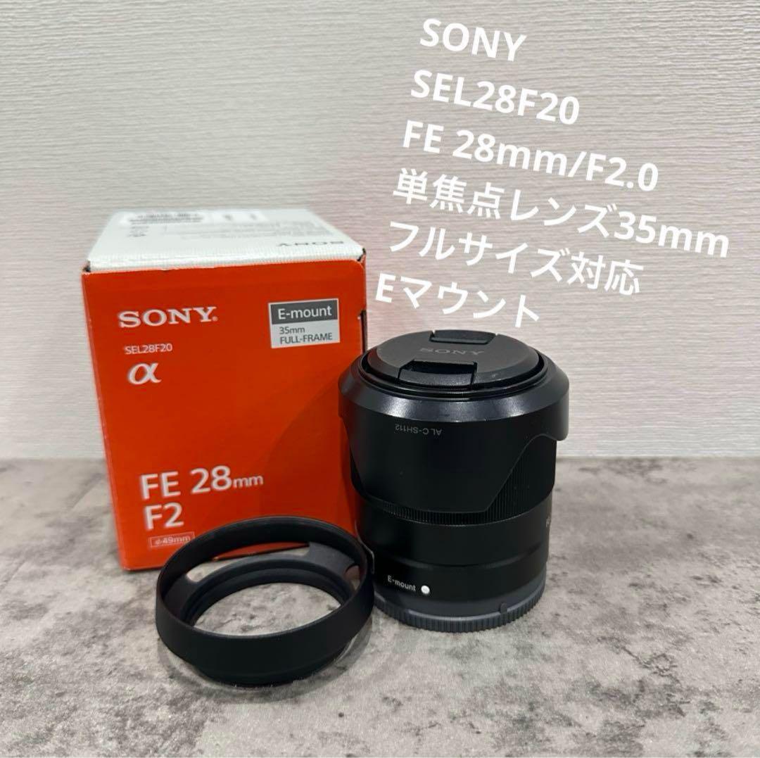 sony α 単焦点 広角 魚眼 レンズ