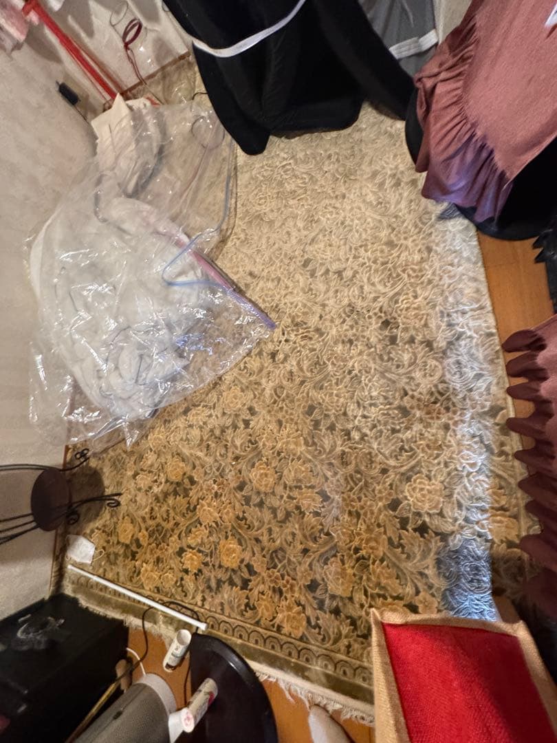 花柄のベージュとグリーンのカーペット　シルク