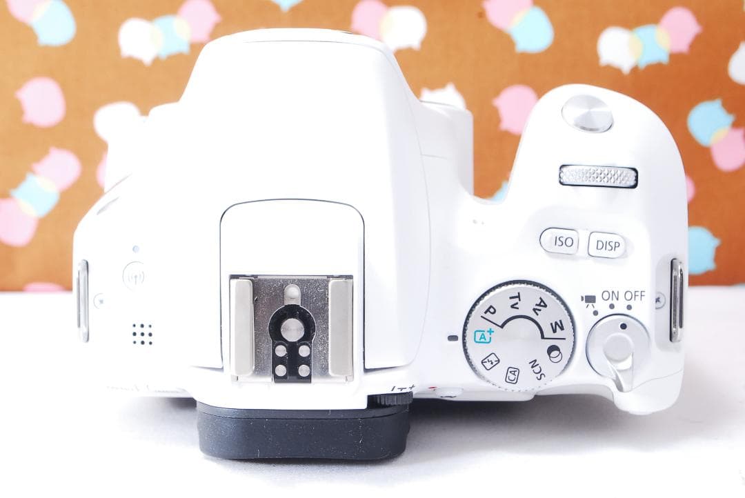 ✨超絶美品✨Wi-Fi搭載✨Canon Kiss X9 レンズセット