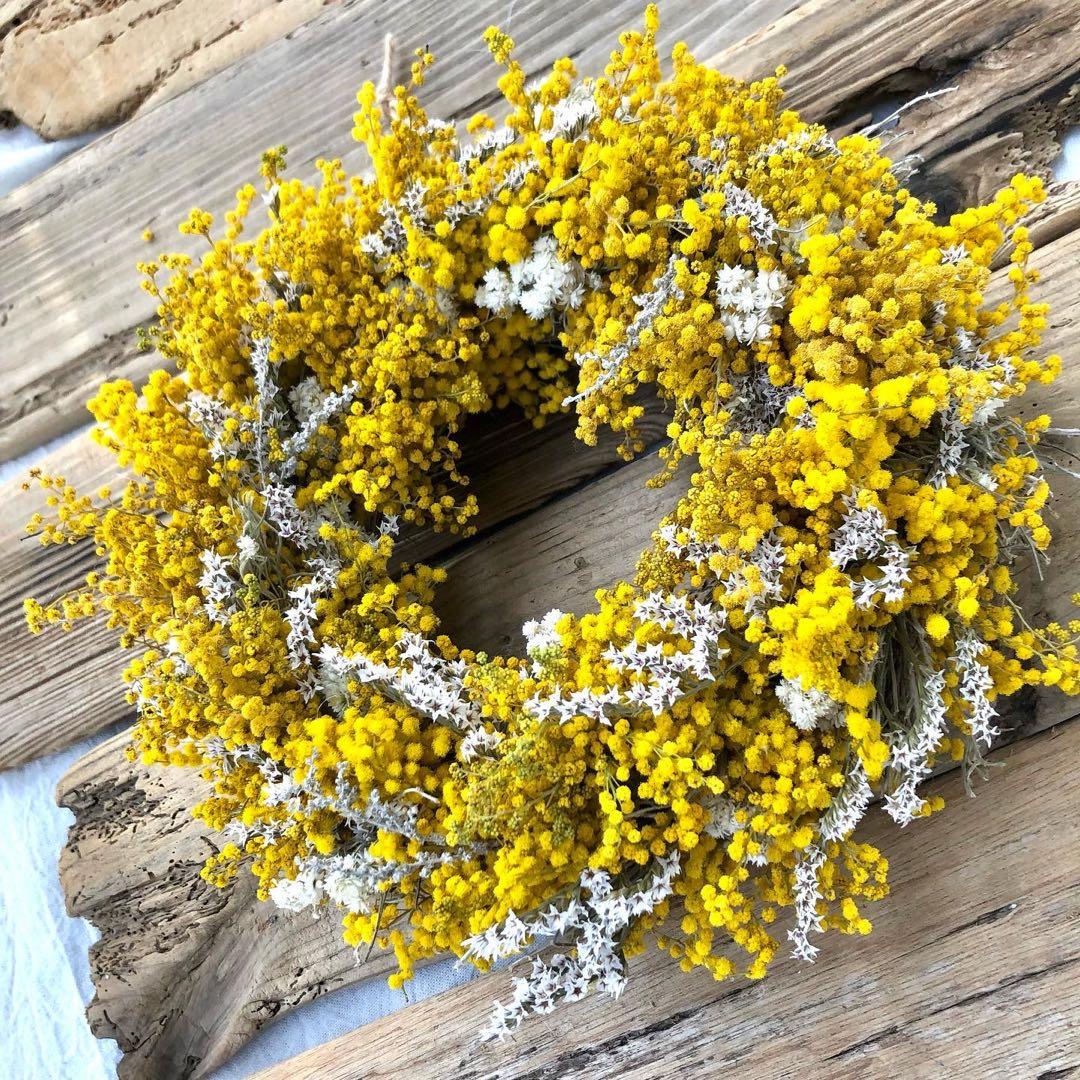 ミモザリース　ミモザ