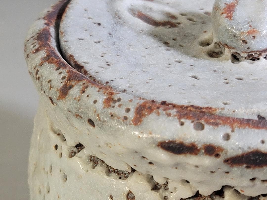 茶道具 鼠志野 水指 塗替蓋 共箱 DT475