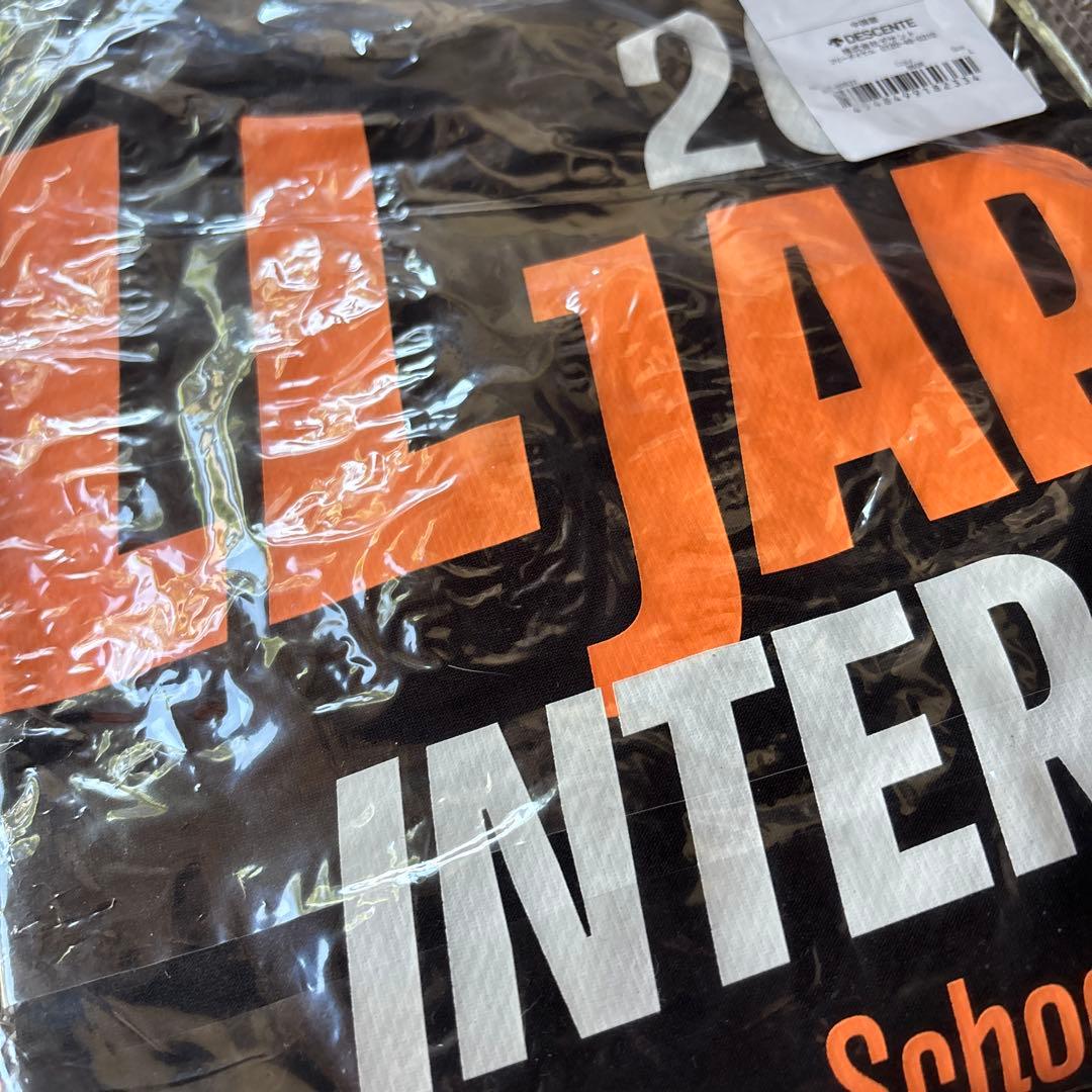 DESCENTE インターハイ Lサイズ Tシャツ 国体オールジャパン