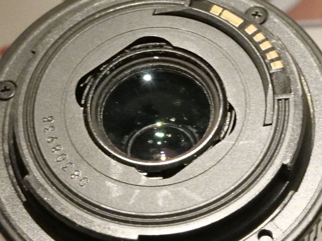 保証有 LUMIX GF10 望遠レンズセット EFレンズ遊びも可能