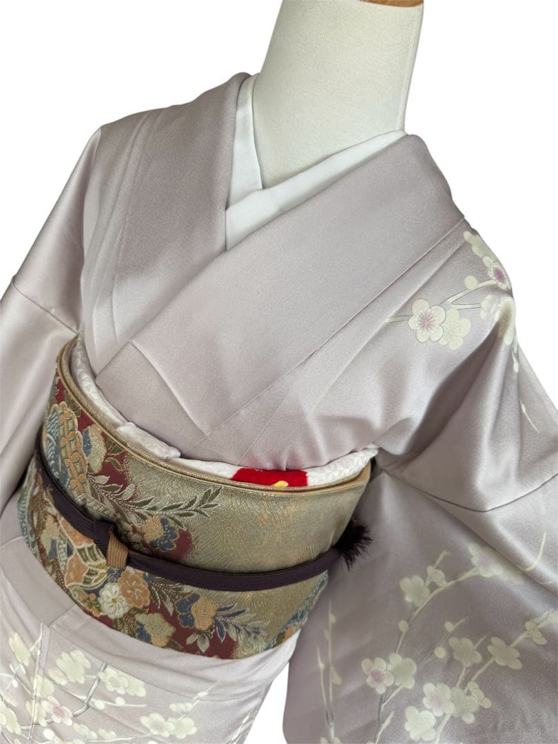 正絹訪問着　友禅染　梅枝　目白