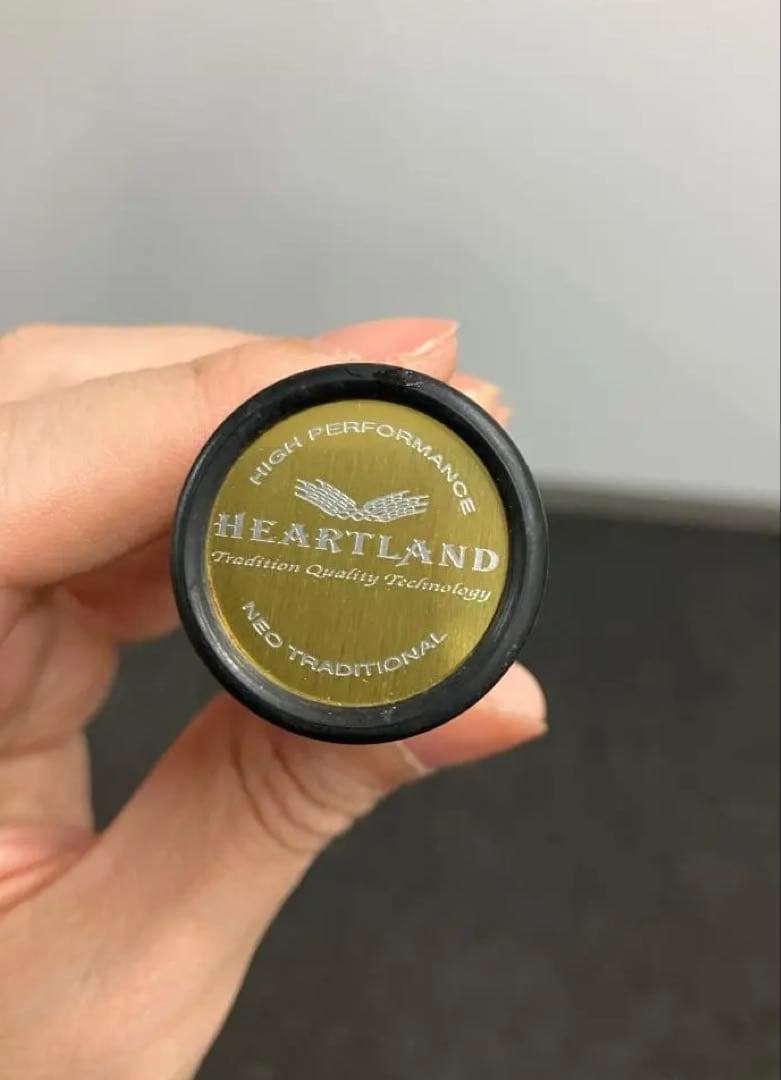 ダイワ ハートランドZ HL-Z 6101MLFS-T 釣り竿