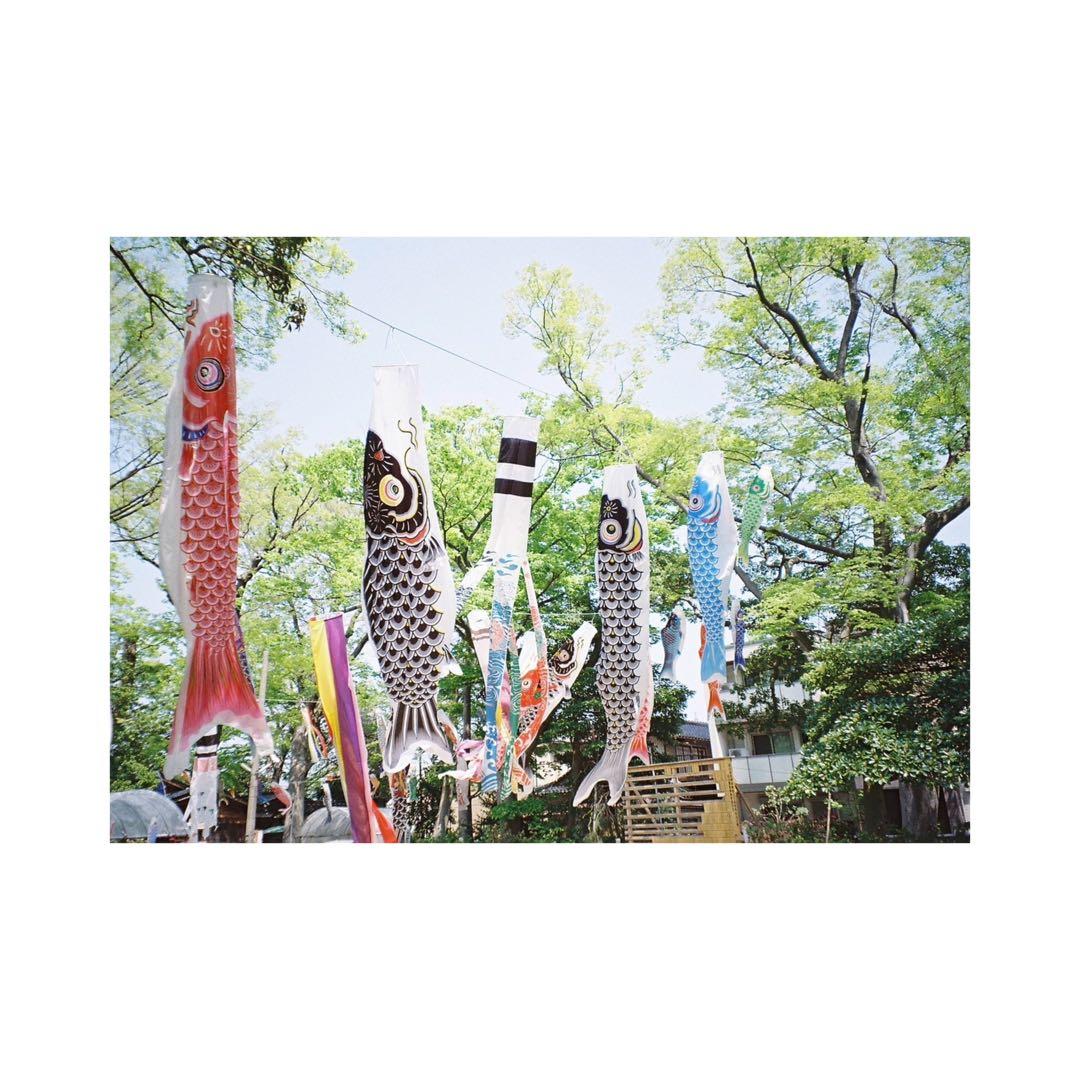 ⌘完動品！ 作例、電池付！ Nikon LiteTouch ZOOM 70Ws⌘