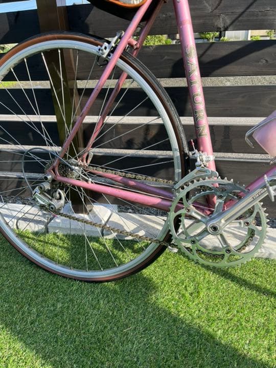 ツノダサターン