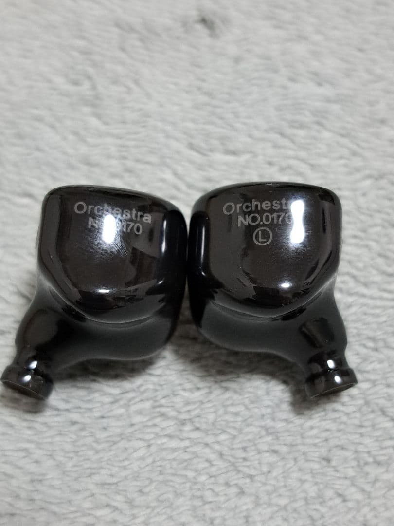 kiwi ears orchestra　キウイイヤーズオーケストラ