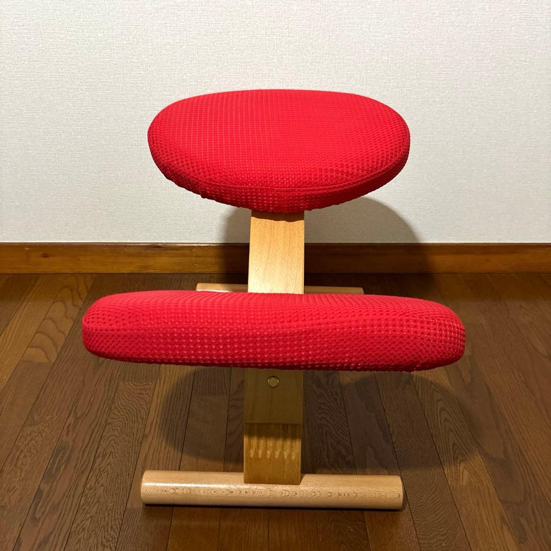 【極美品】 バランスイージー レッド 通常フレーム 防水カバー付き