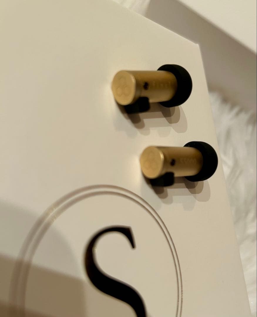 final S5000 BA FI-S5BSB （使用1時間ほど）