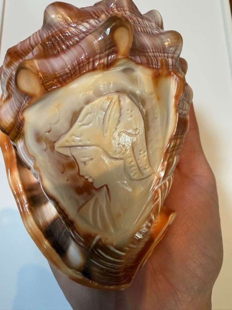 シェル カメオ インテリア 置物 ディスプレイ ②