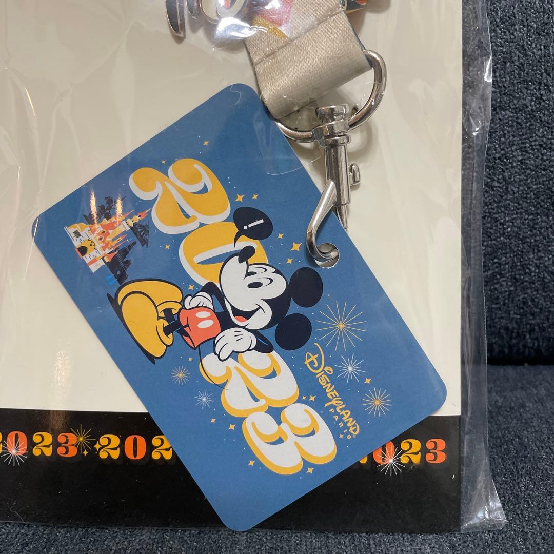 ピンバッジ　カード入れ　ストラップ　ディズニーランドパリ2023（12/17処分