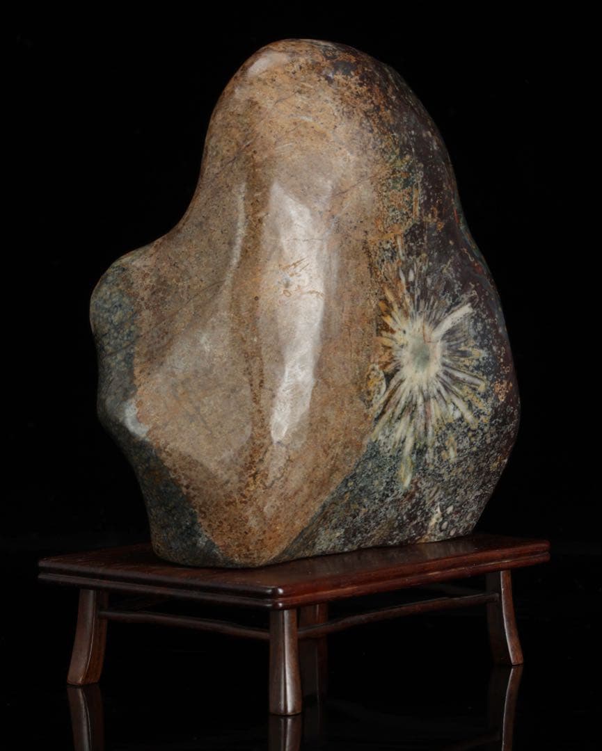 菊花石 白菊 紋石 台座付 1.4kg 鑑賞石 原石 天然石 水石 盆石 鉱物