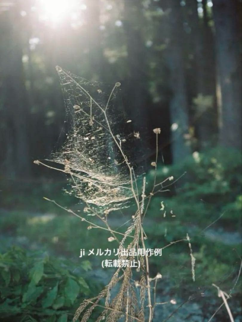 CONTAX T3 コンパクトフィルムカメラ 実働品