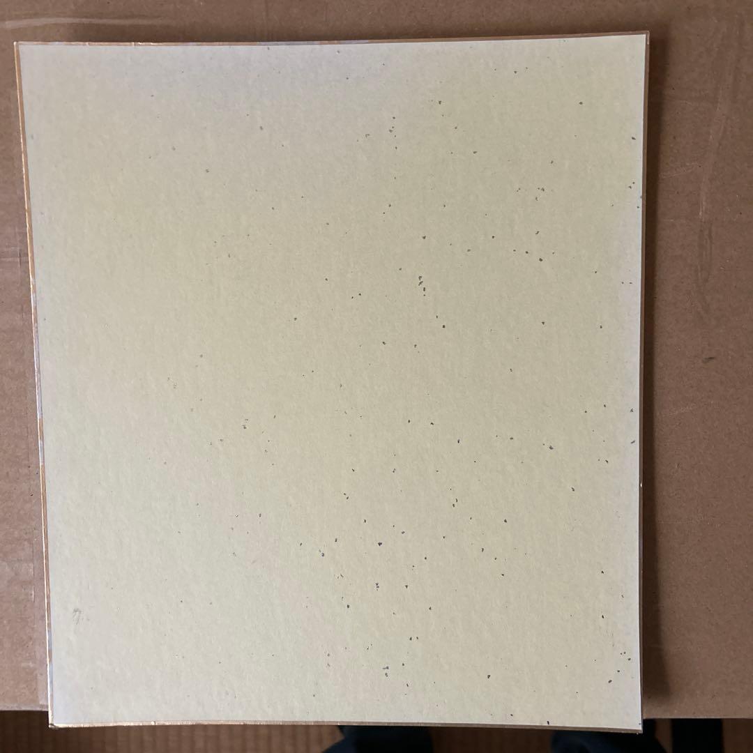 日本バレーボール協会 サイン色紙2004