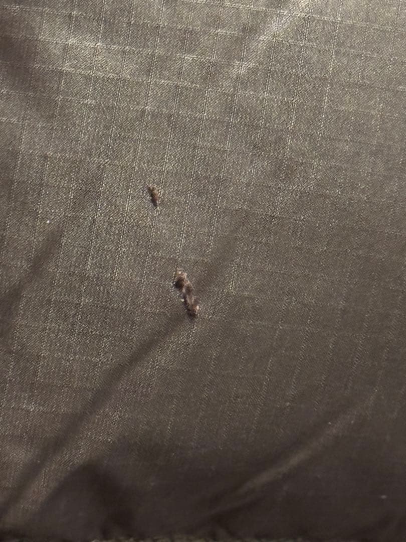 完売品 GOLDWINPERTEX QUANTUM Down Parka 4