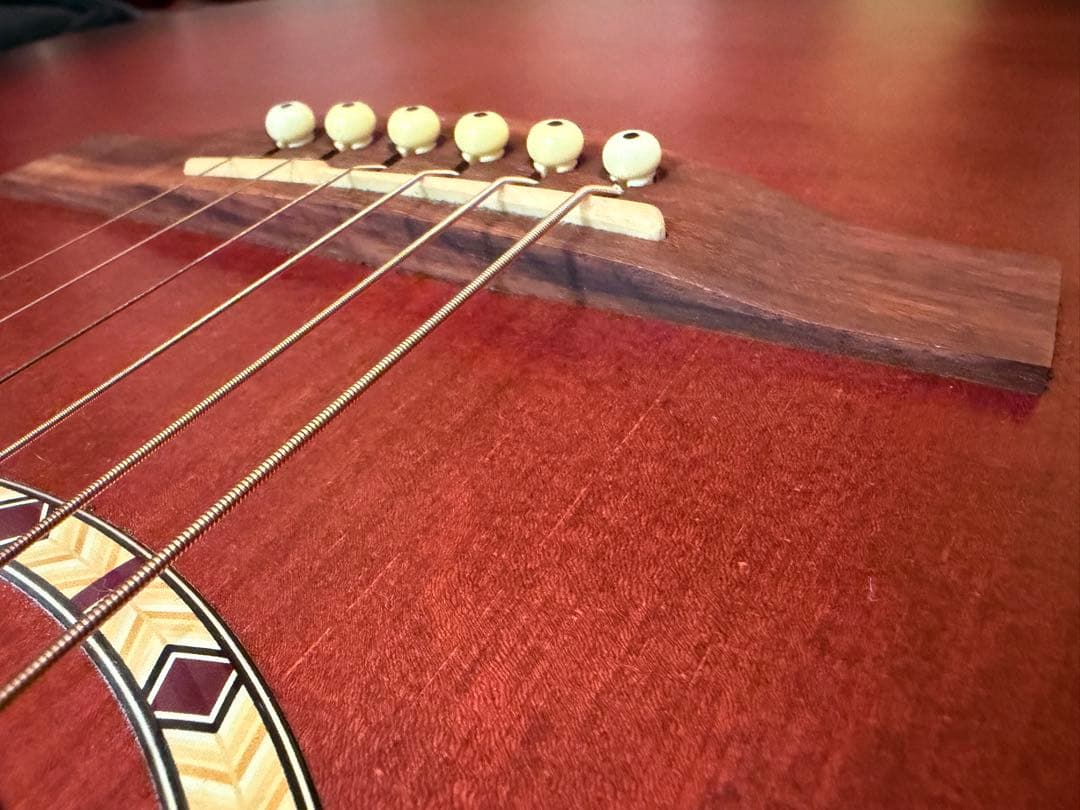 アコースティックギター （エレアコ）Art & Lutherie