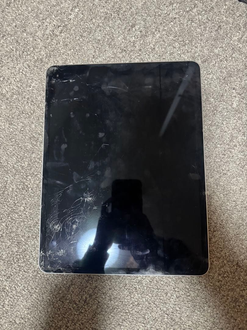 Apple ipad pro 第5世代　本体